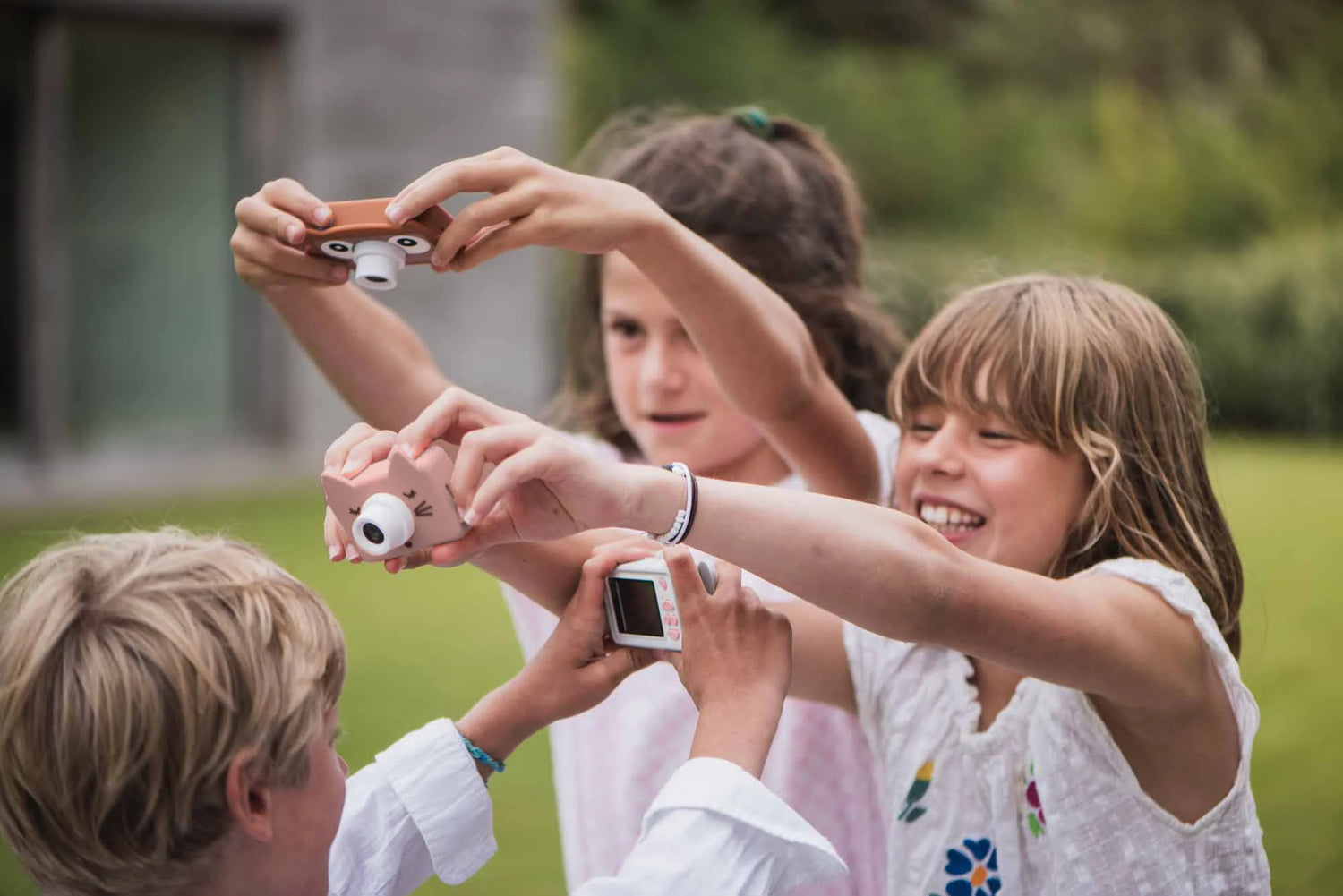 Cámara ZooFriends - Gato