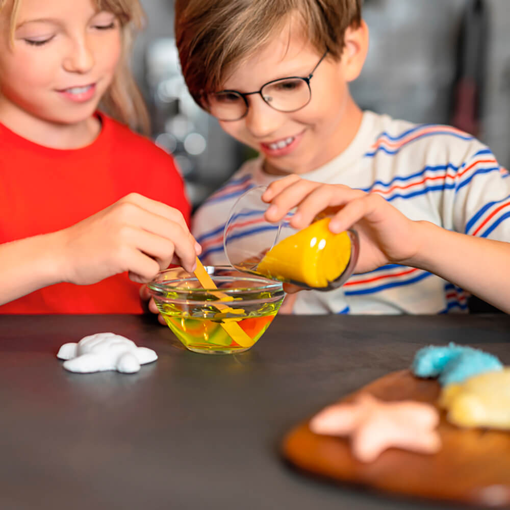 Creación de cristales - Animales marinos