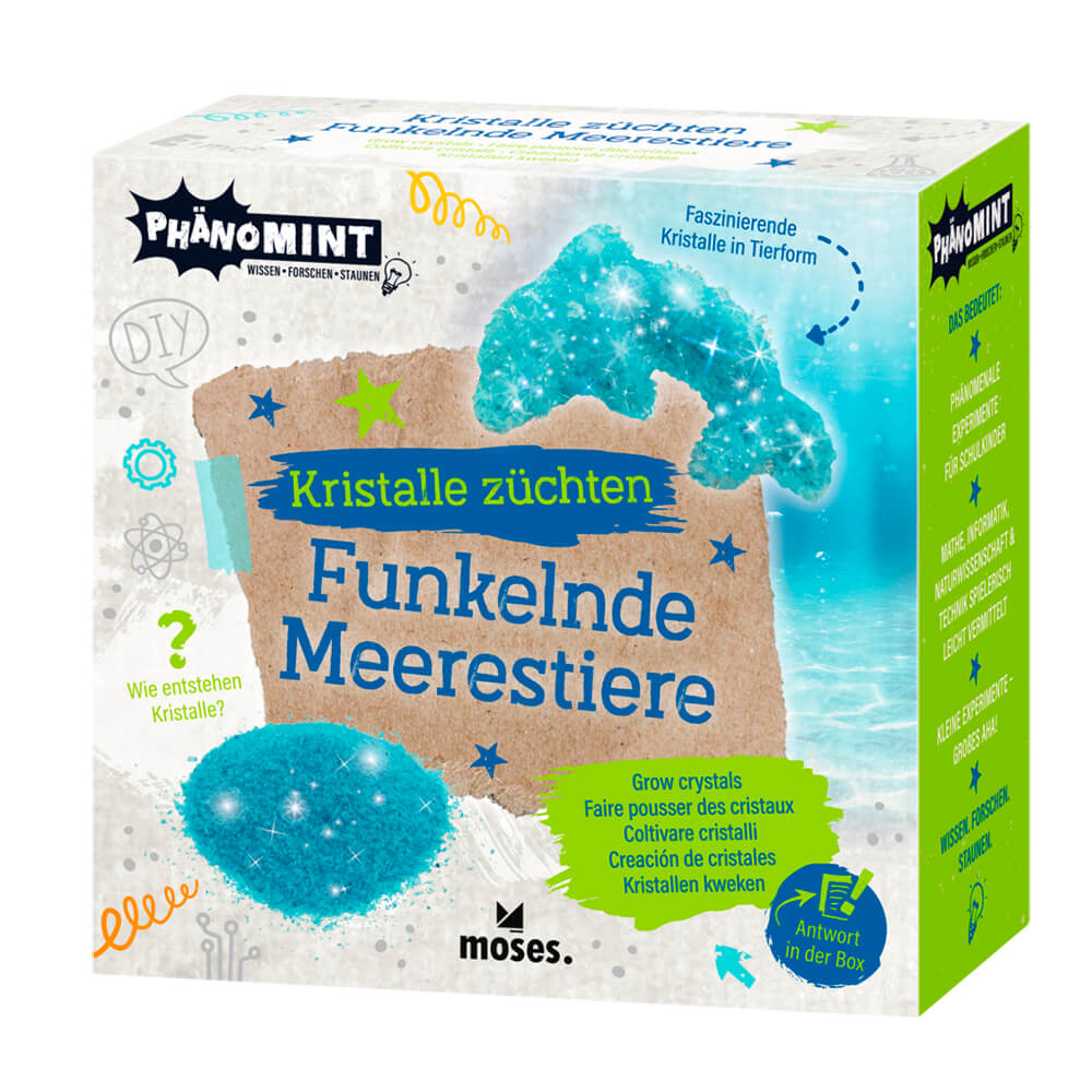 Creación de cristales - Animales marinos