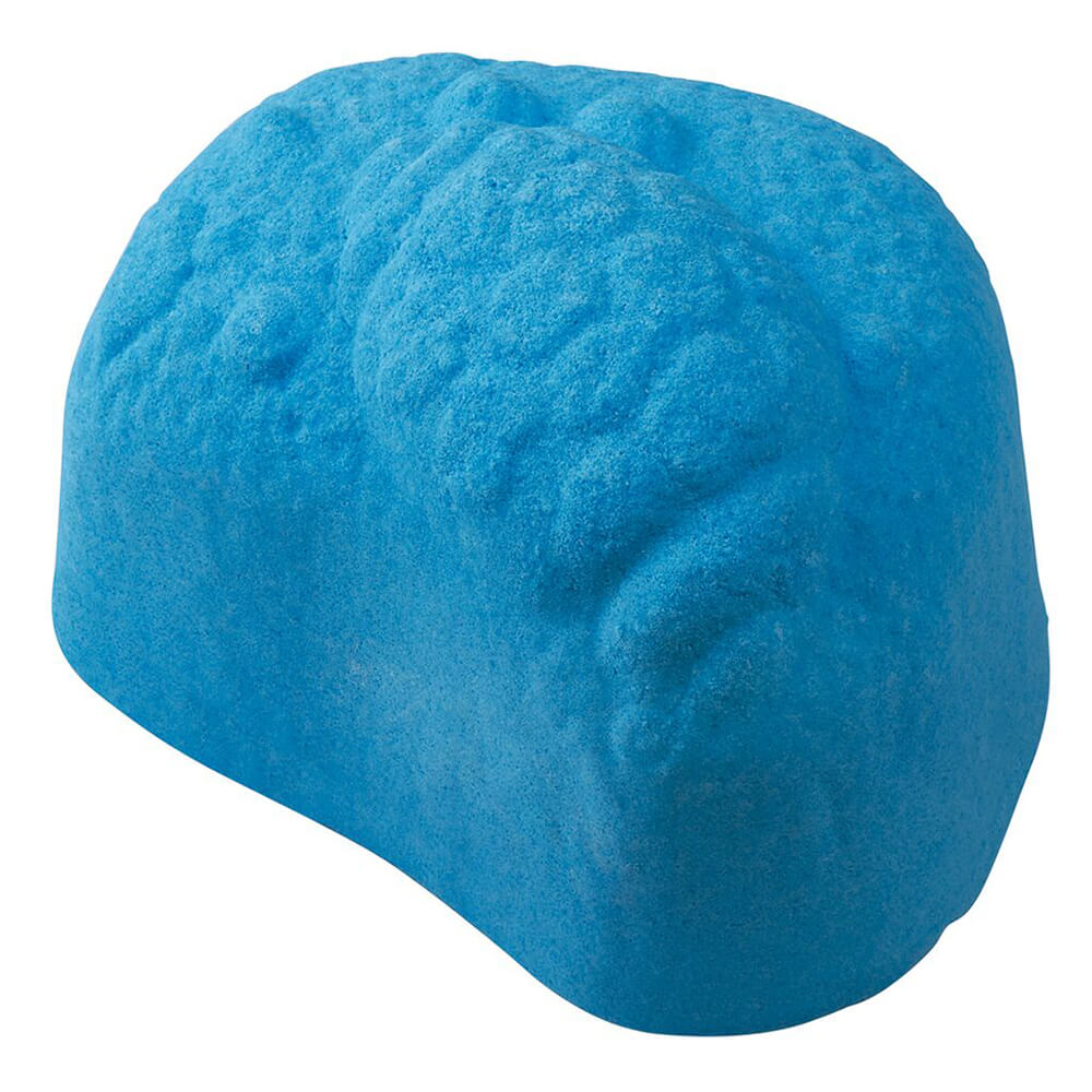 Animales marinos - Sorpresa