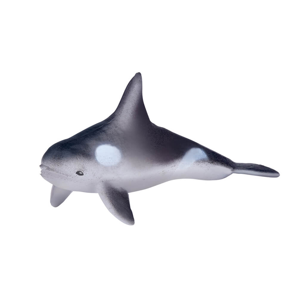 Animales marinos - Sorpresa