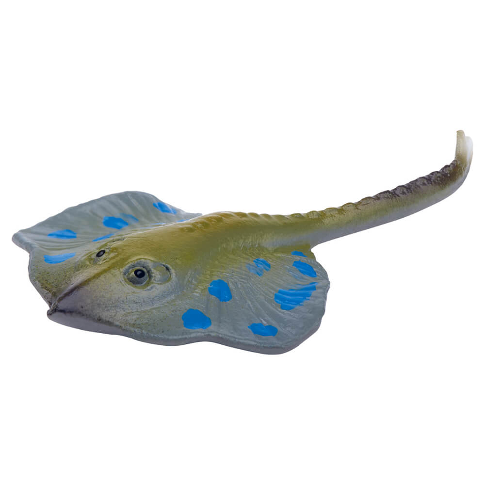 Animales marinos - Sorpresa