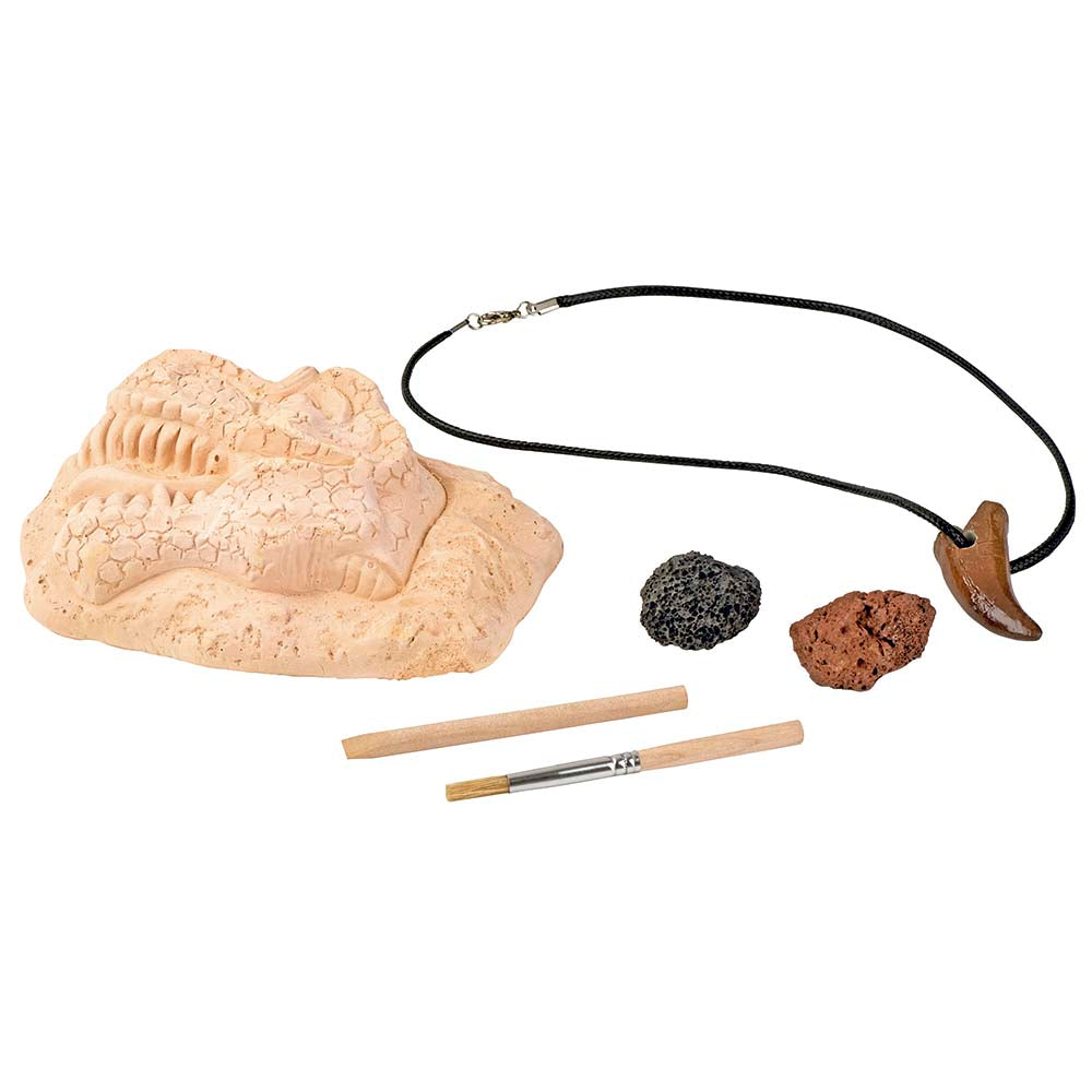 Set de excavación - T-Rex