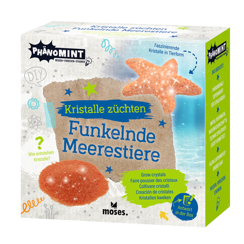 Creación de cristales - Animales marinos