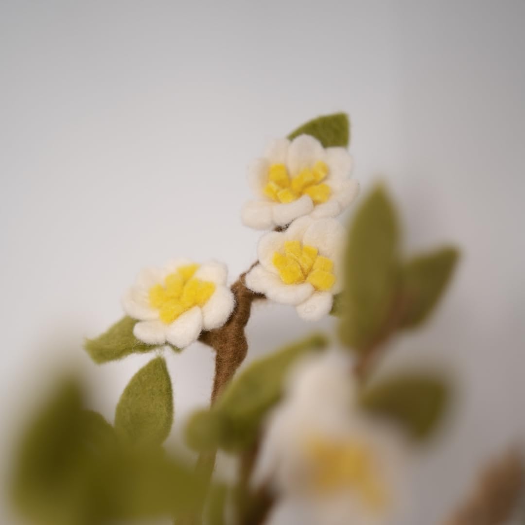 Rama - Flor de Manzano