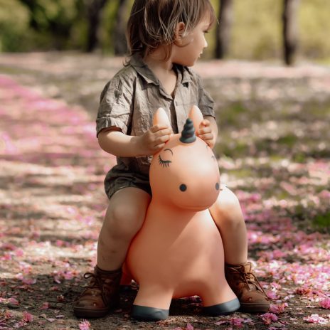 Saltimbanqui - Hopper Animal