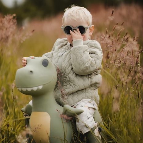 Saltimbanqui - Hopper Animal