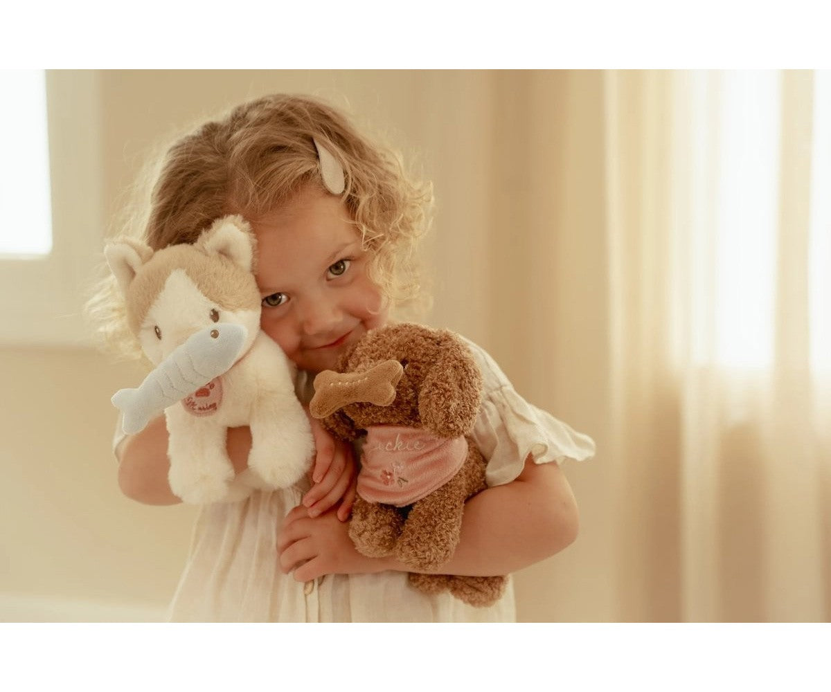 Gatito en transportín - Marley