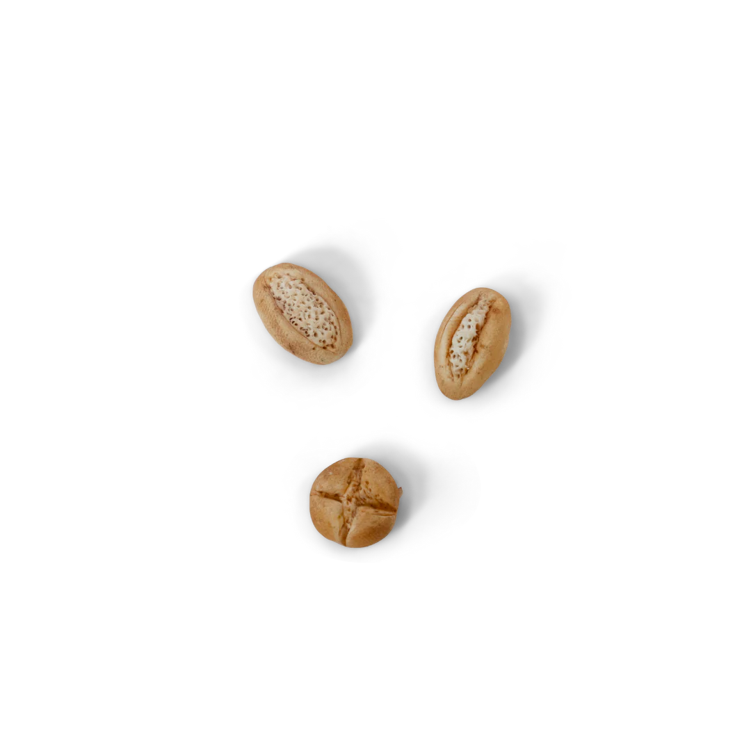 Pasta para moldear (Set de 12 colores) - Accesorios Sam y julia