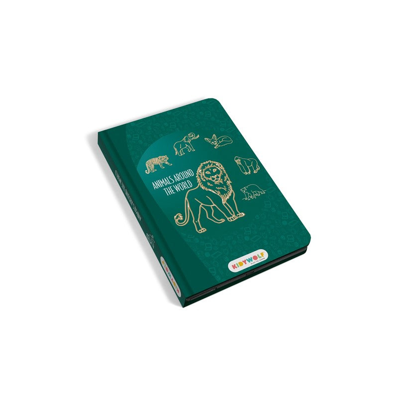 Kidydraw Mini - Pizarra de dibujo (7 modelos)