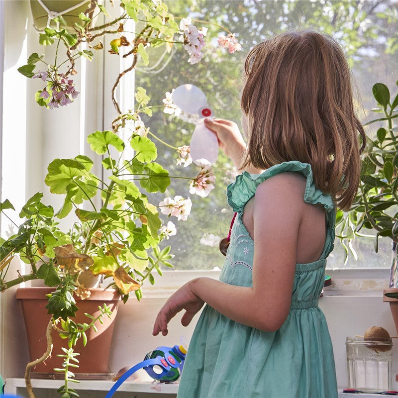 Clixo - Window Pack (24 pcs) - 🔥¡Con ventosas!🔥