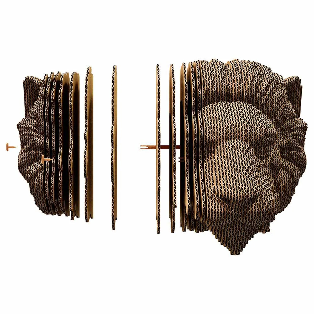 Puzzle 3D para Pared -León