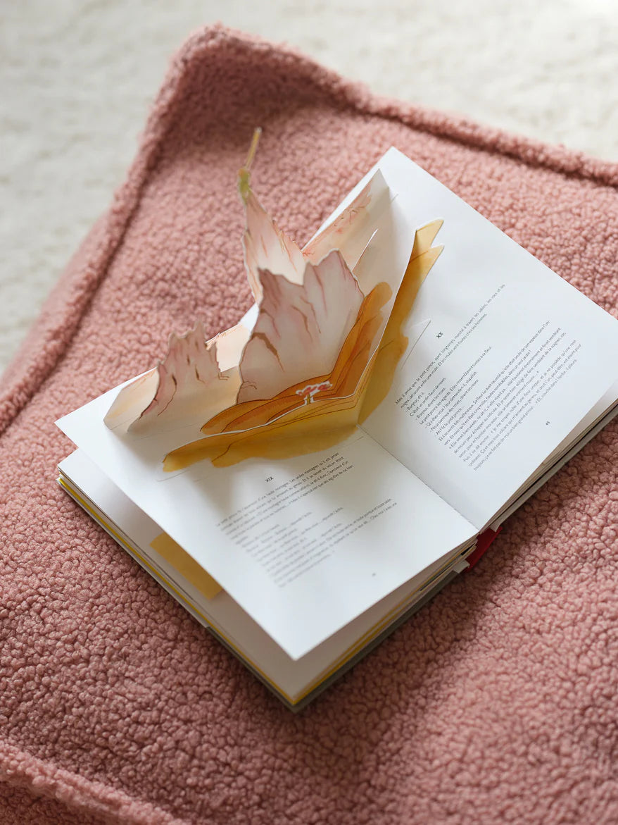 Square Ottoman - Teddy - Guava