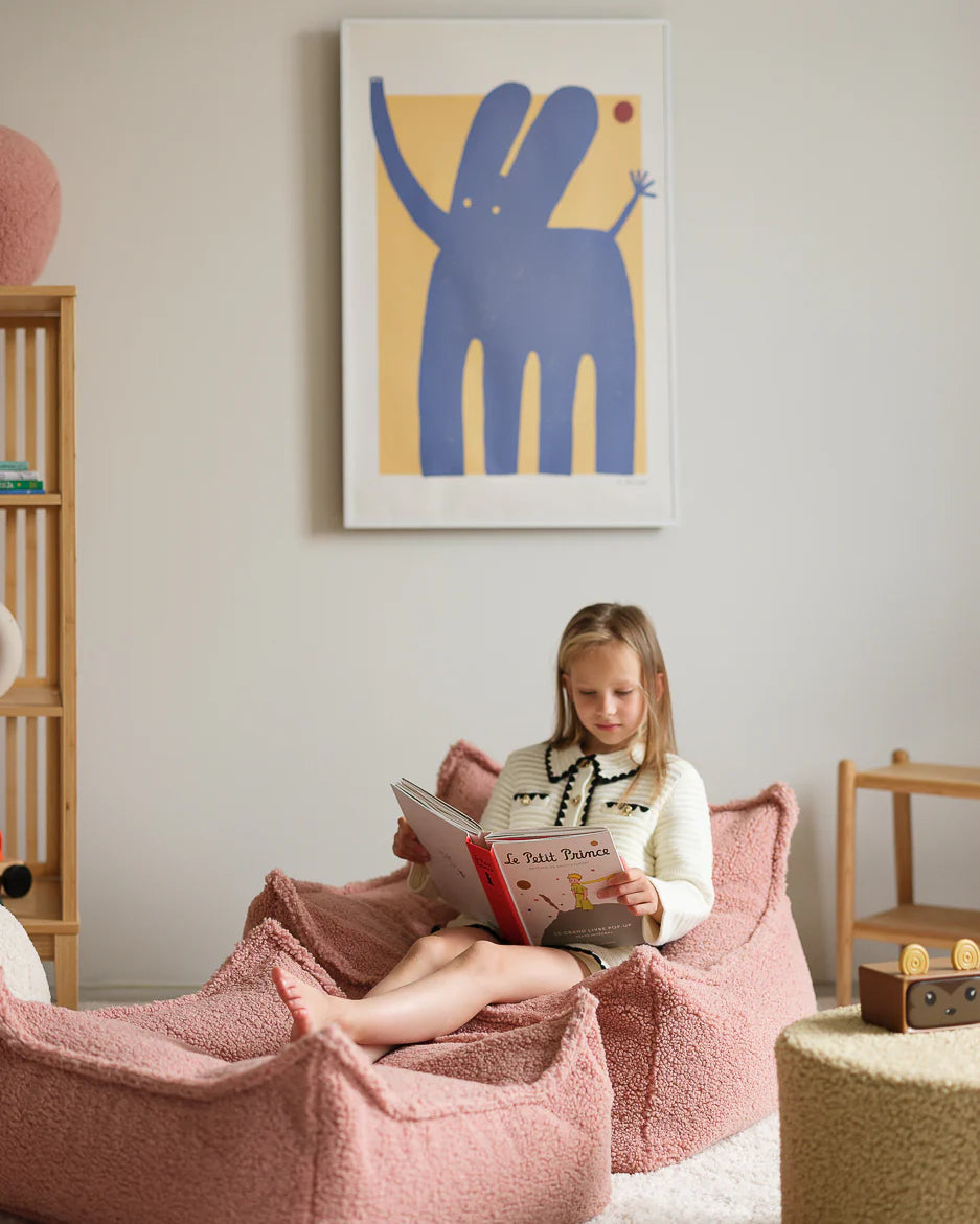 Beanbag Chair - Teddy - Guava