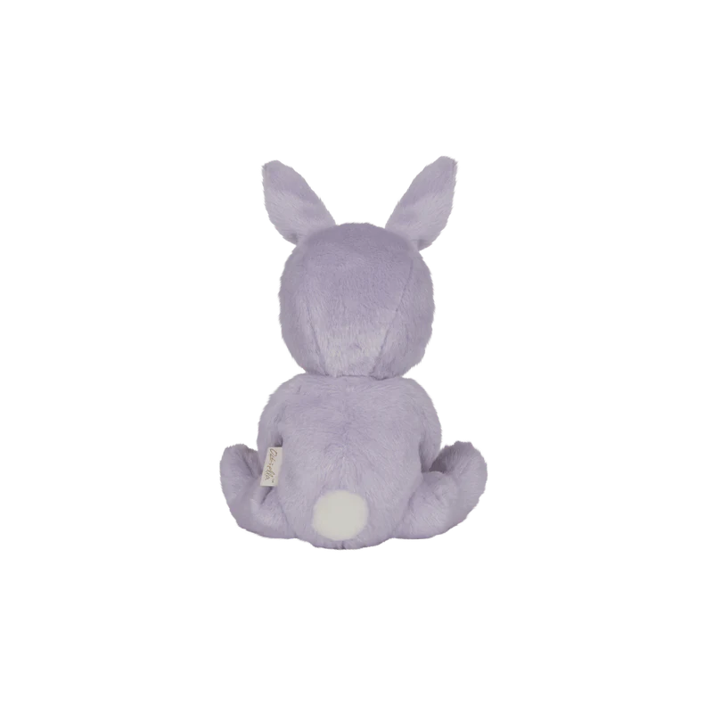 Peluche Bebé dormilón - Dinky Dinkum - Fluffle Family