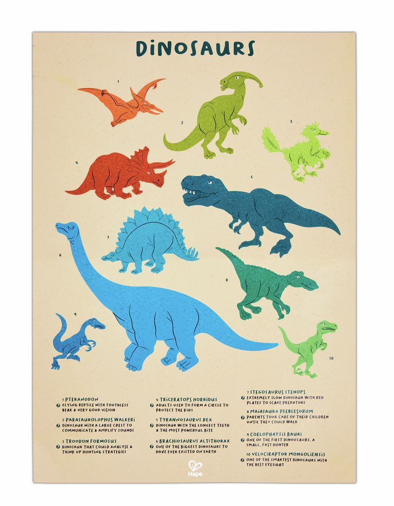 Puzzle de suelo Brillante - Dinos