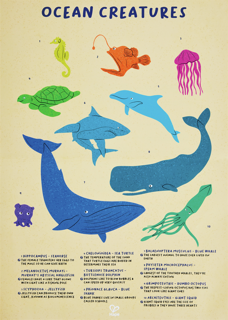 Puzzle XL de suelo - Ballena, ¡con piezas en forma de animales marinos!