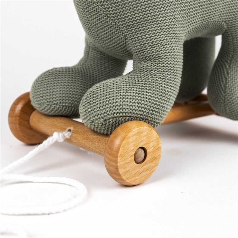 Juguete de arrastrar - Dino