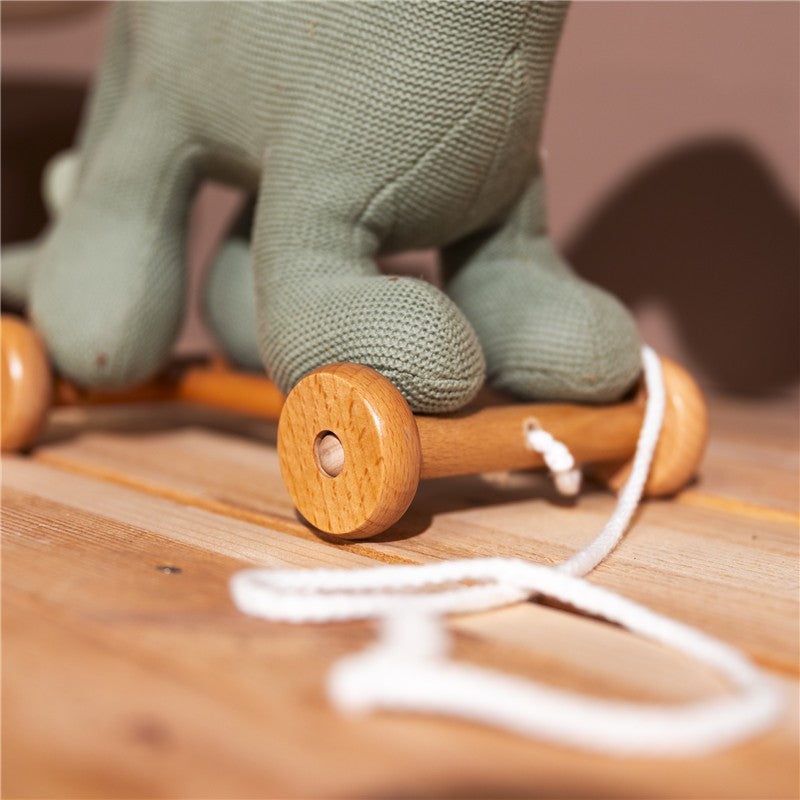 Juguete de arrastrar - Dino