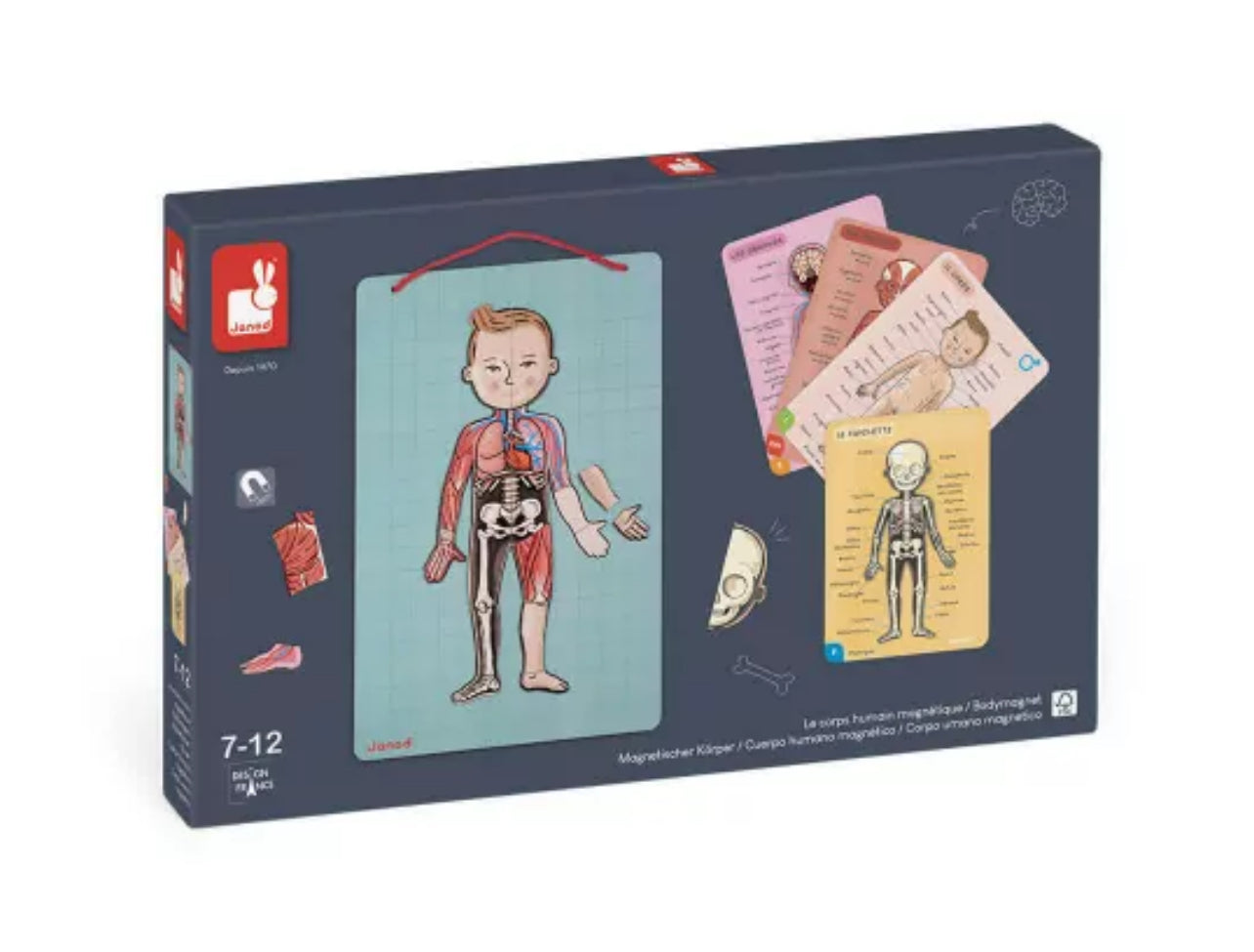 Puzzle Bodymagnet - Cuerpo Humano (12 idiomas)