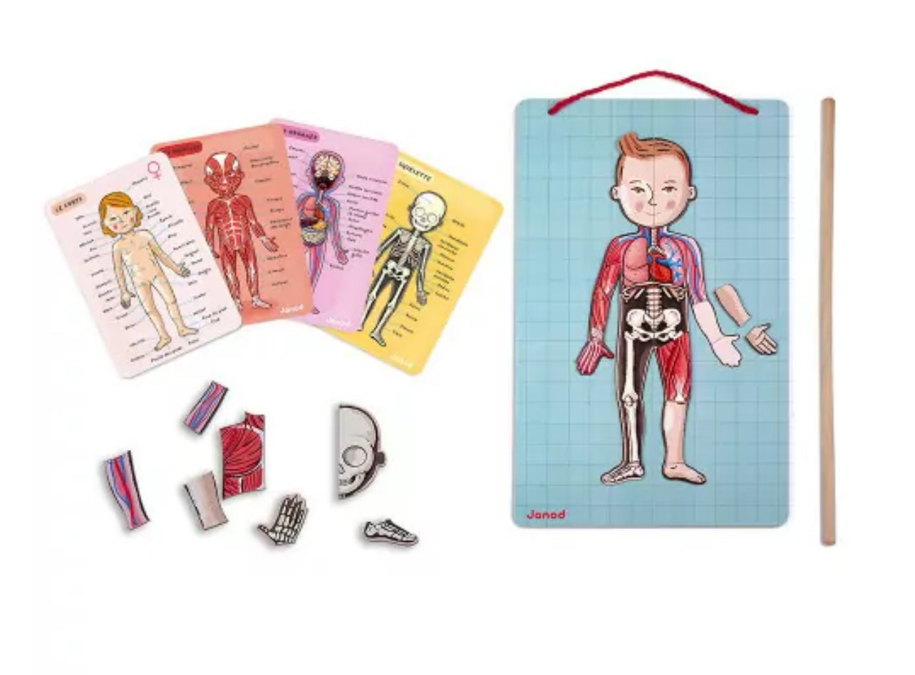Puzzle Bodymagnet - Cuerpo Humano (12 idiomas)