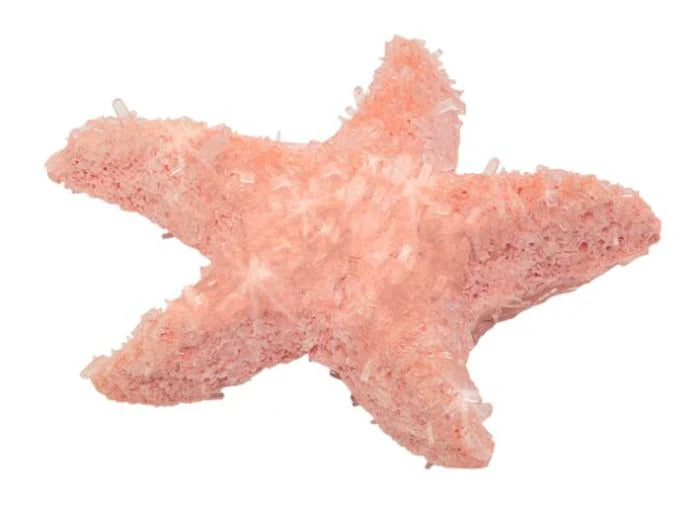 Creación de cristales - Animales marinos