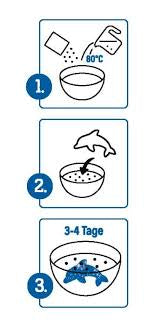 Creación de cristales - Animales marinos