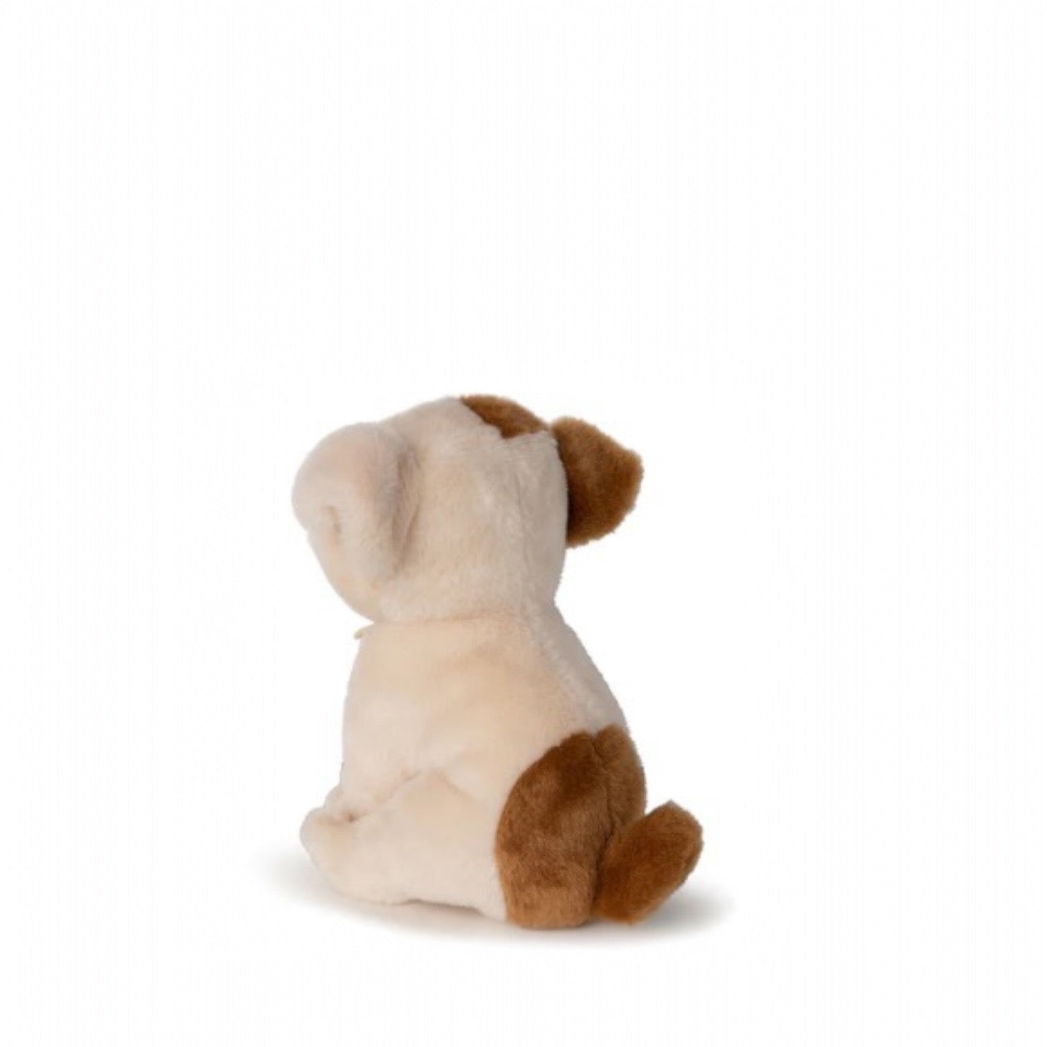 Peluche Bertha - American Bulldog en caja