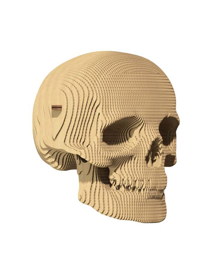 Puzzle 3D - Calavera