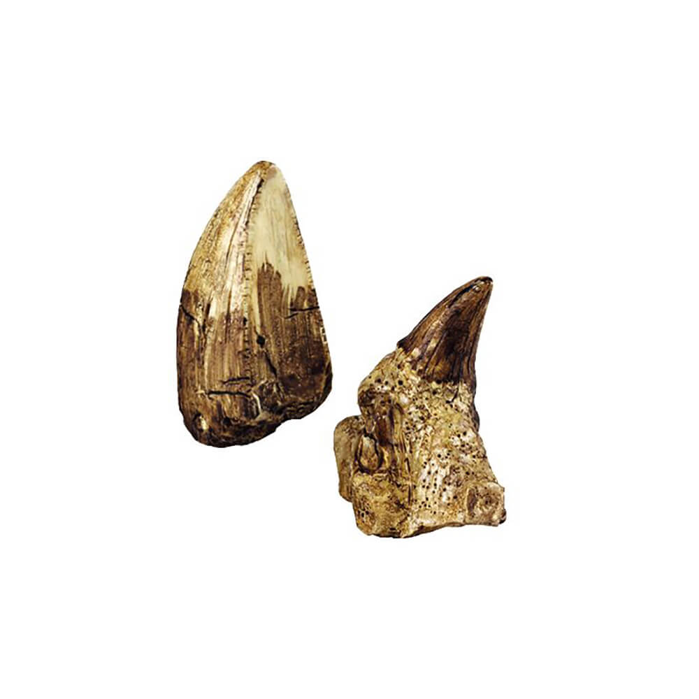 Mini Sets Excavación