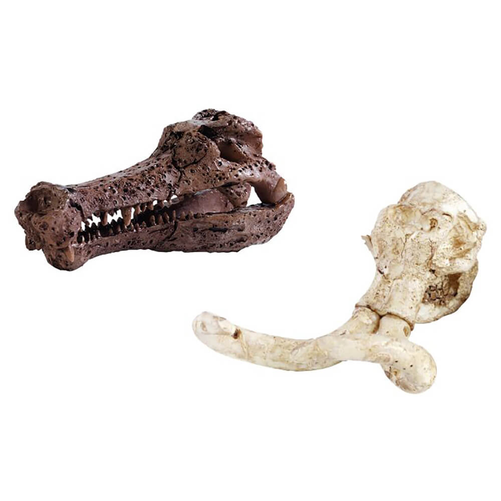 Mini Sets Excavación