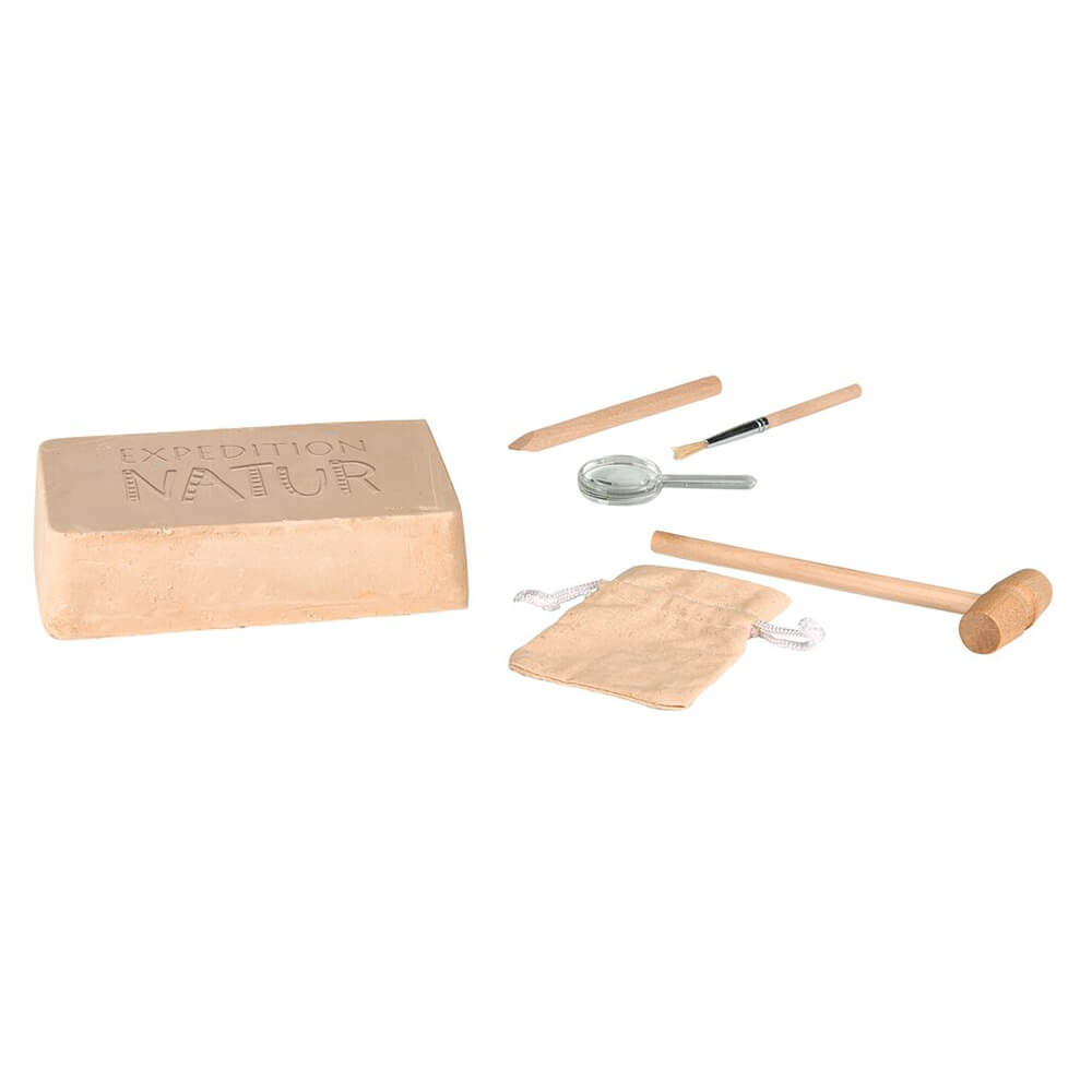 Set Excavación Fósiles