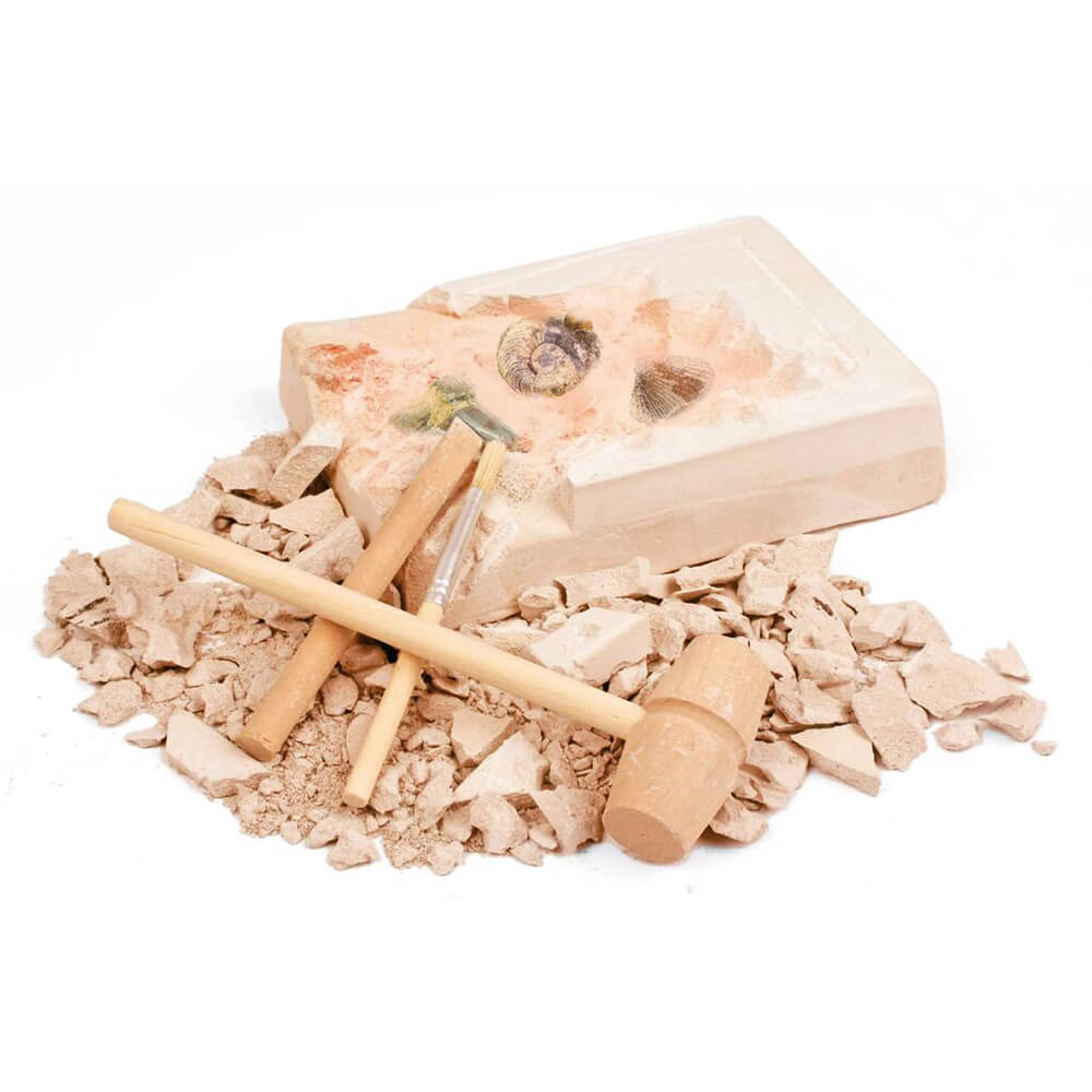 Set Excavación Fósiles