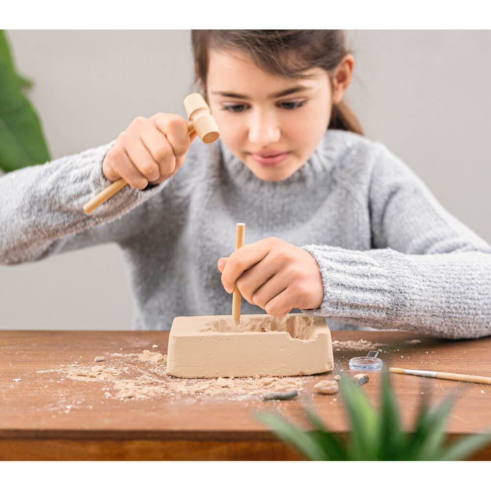 Set Excavación Fósiles