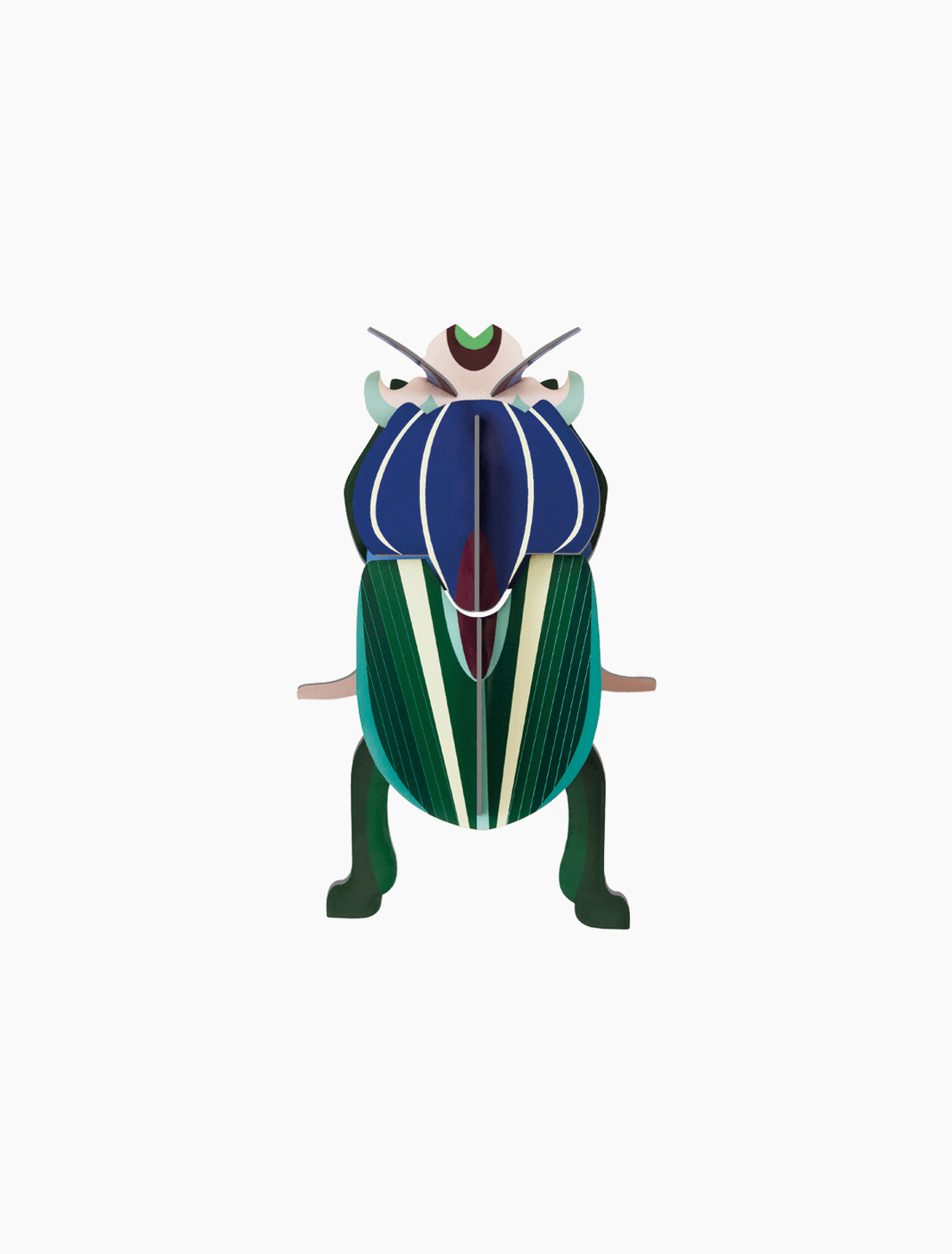 Escarabajo - Mimela