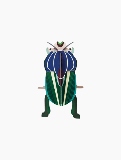 Escarabajo - Mimela