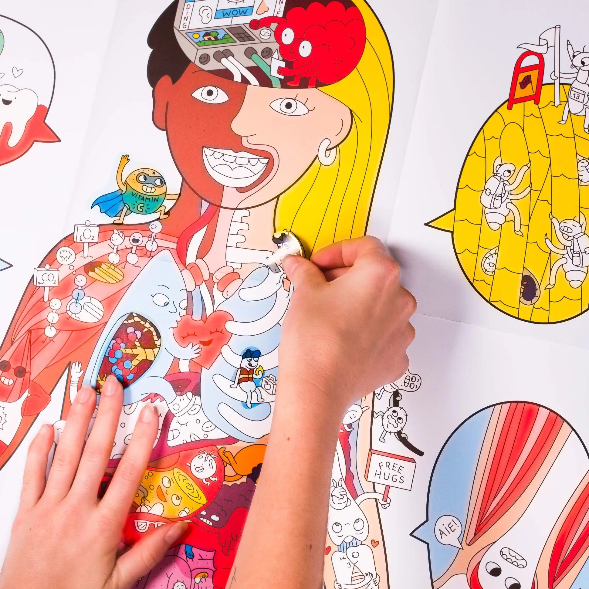 Poster XL para colorear - Busca y encuentra - El cuerpo