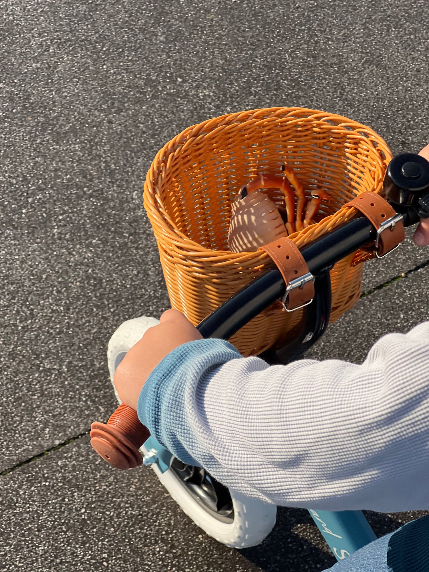 Cesta mimbre + timbre para Bici