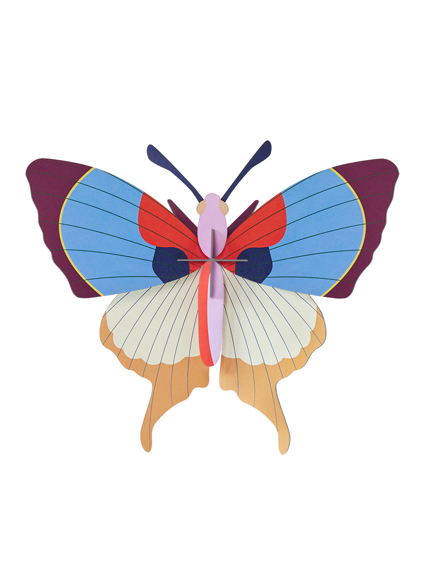 Mariposa Flecos de Ciruela