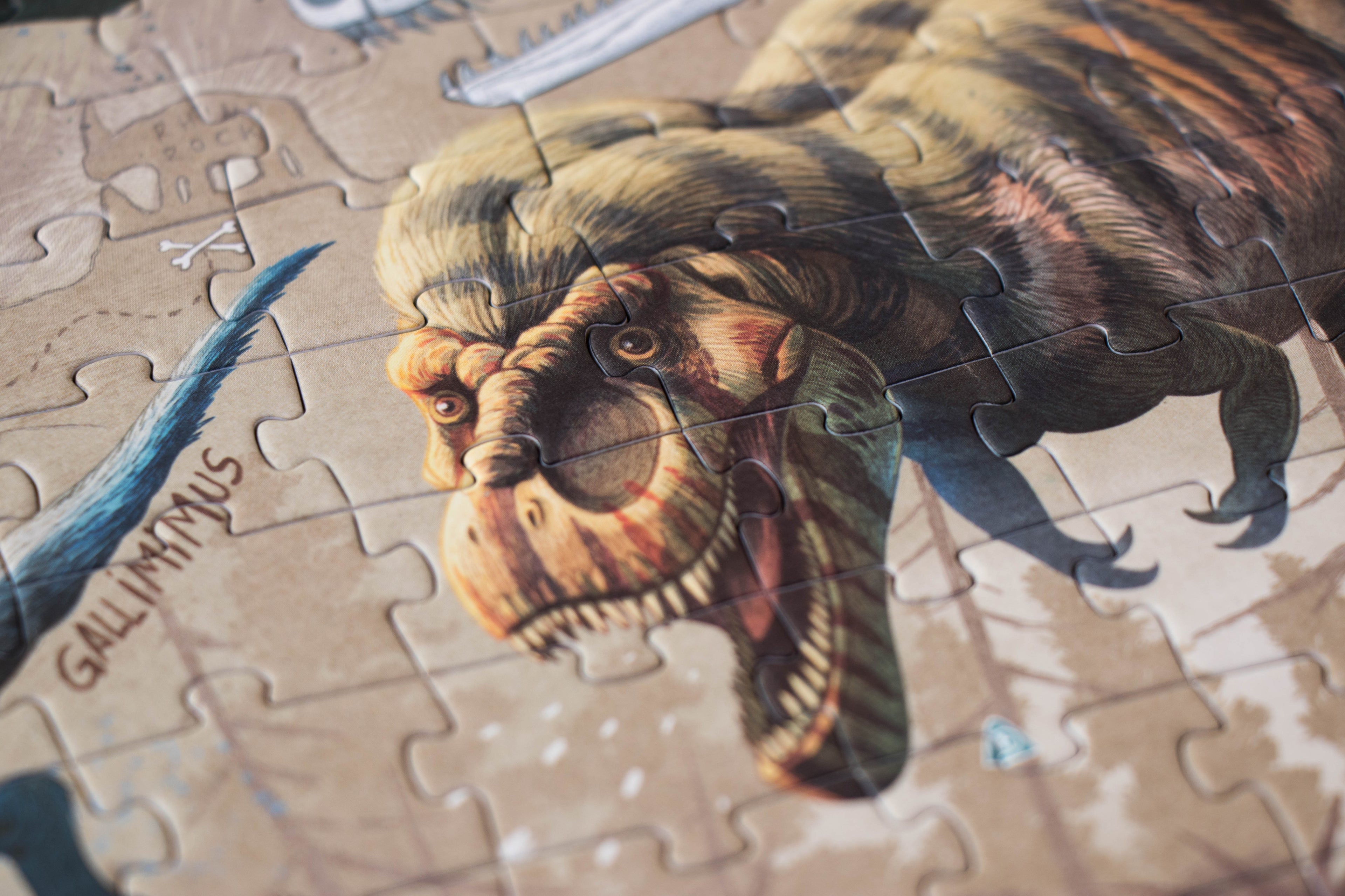 Puzzle - Explora Dinos