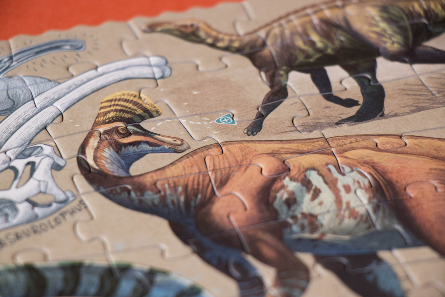 Puzzle - Explora Dinos