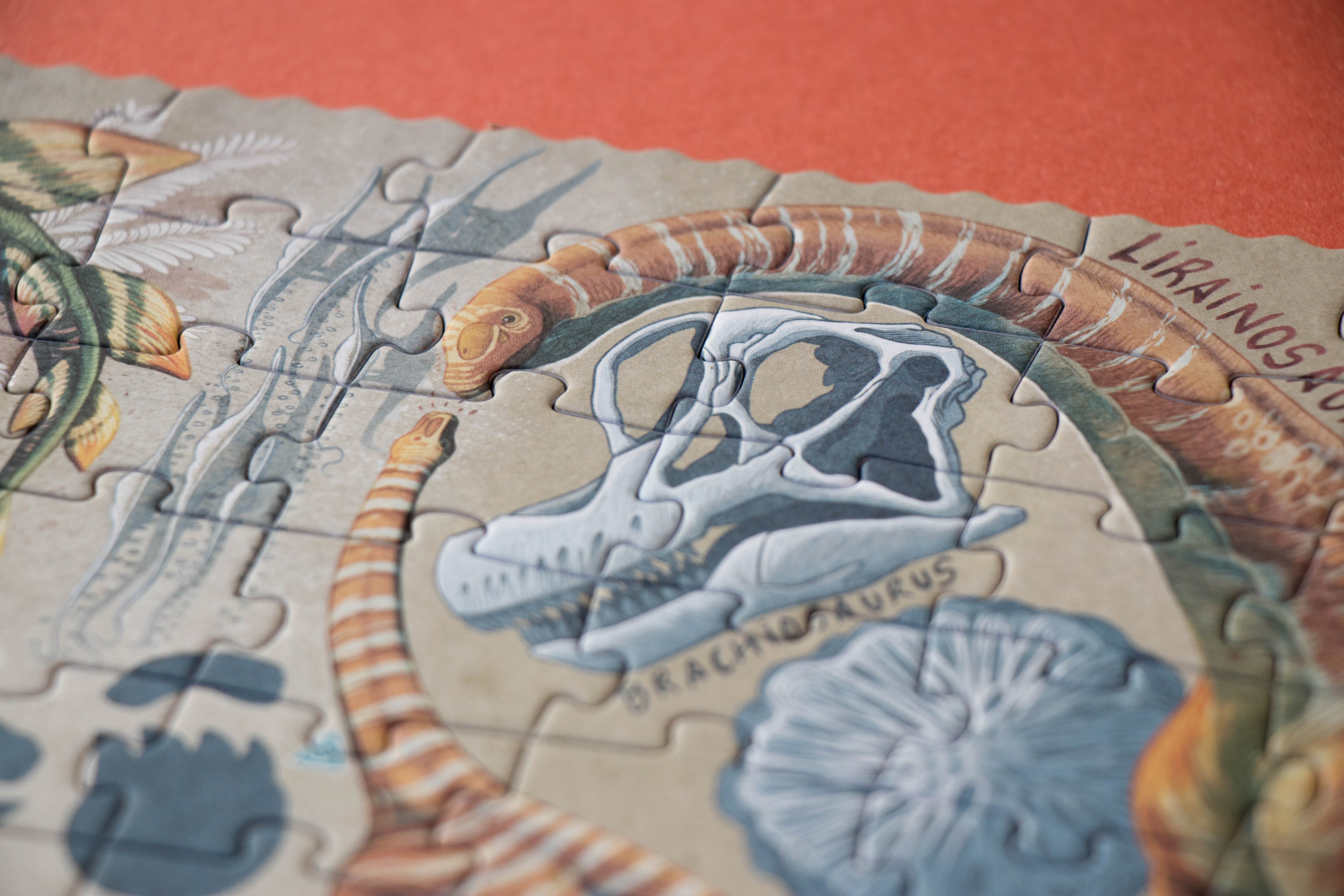 Puzzle - Explora Dinos