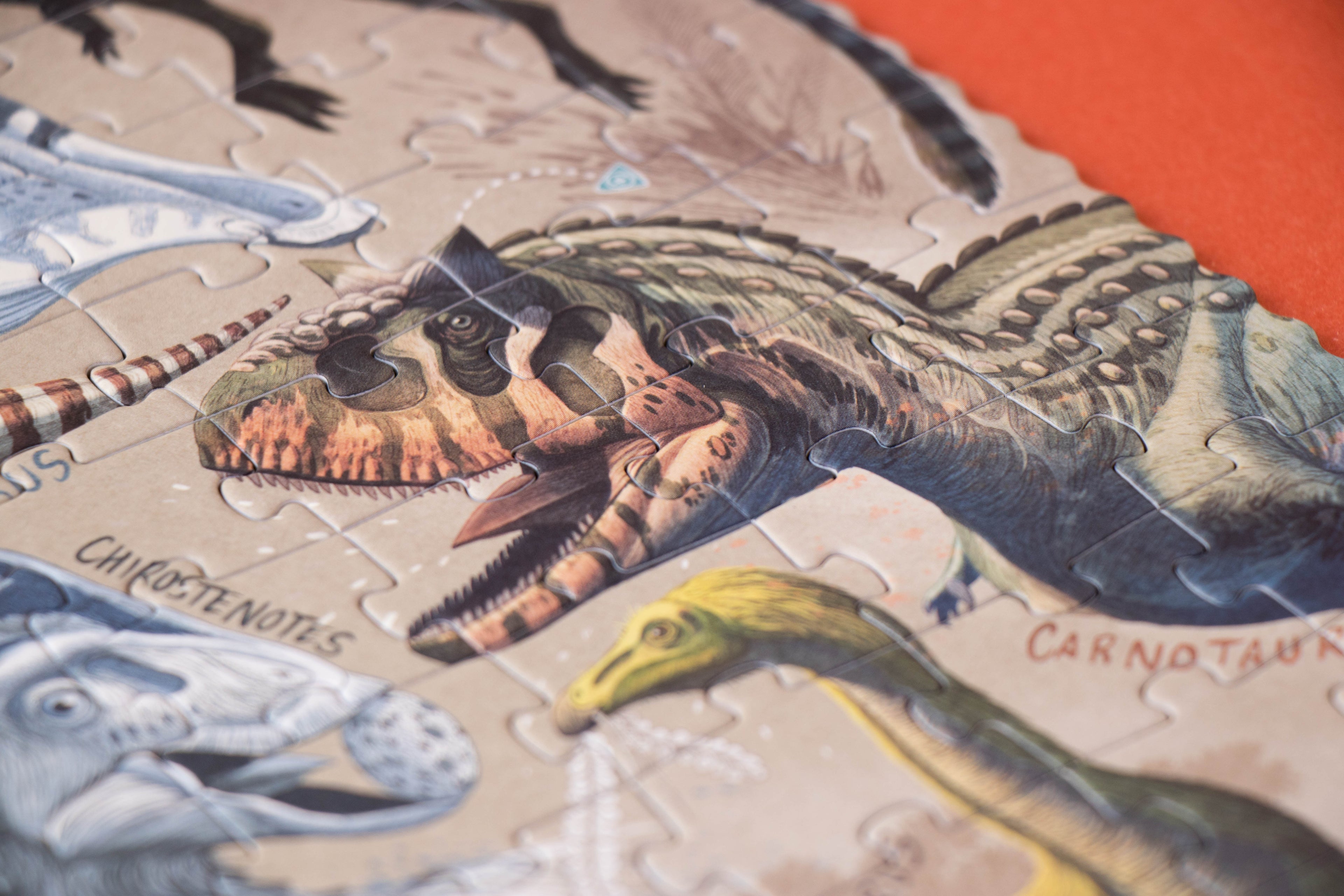 Puzzle - Explora Dinos