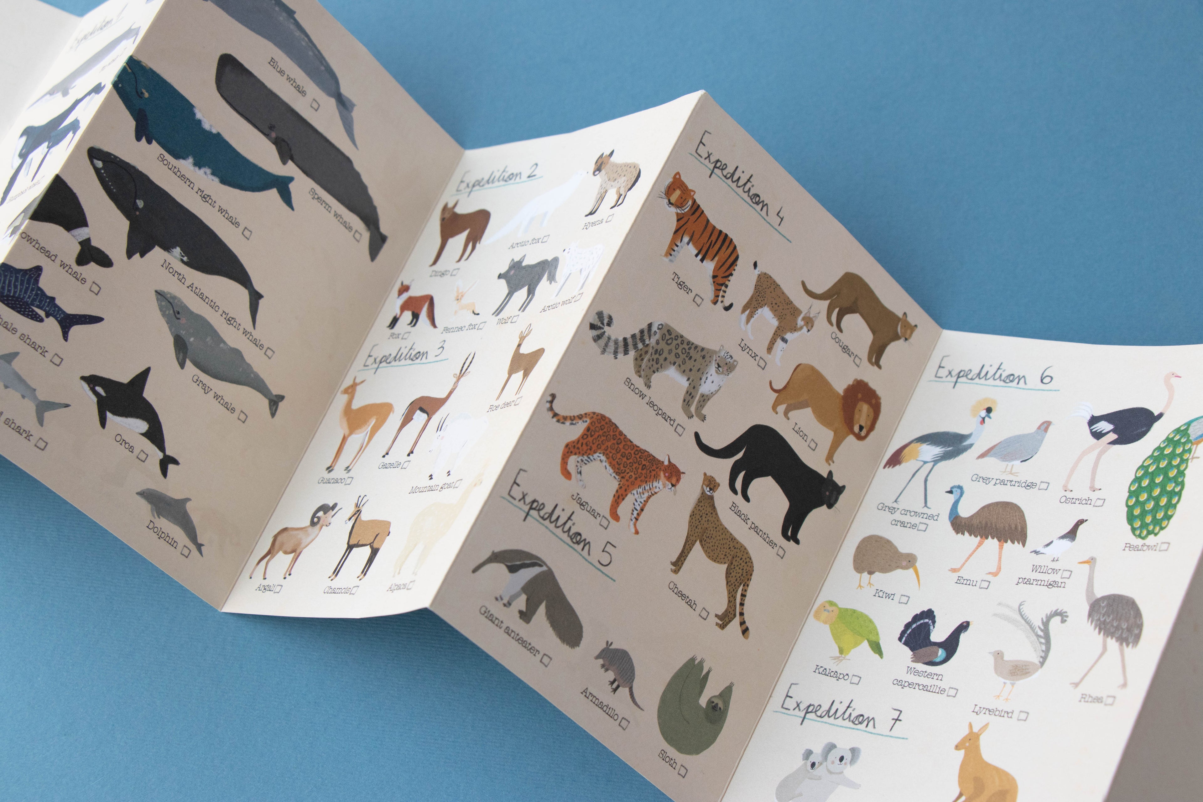 Puzzle - Los animales del Planeta