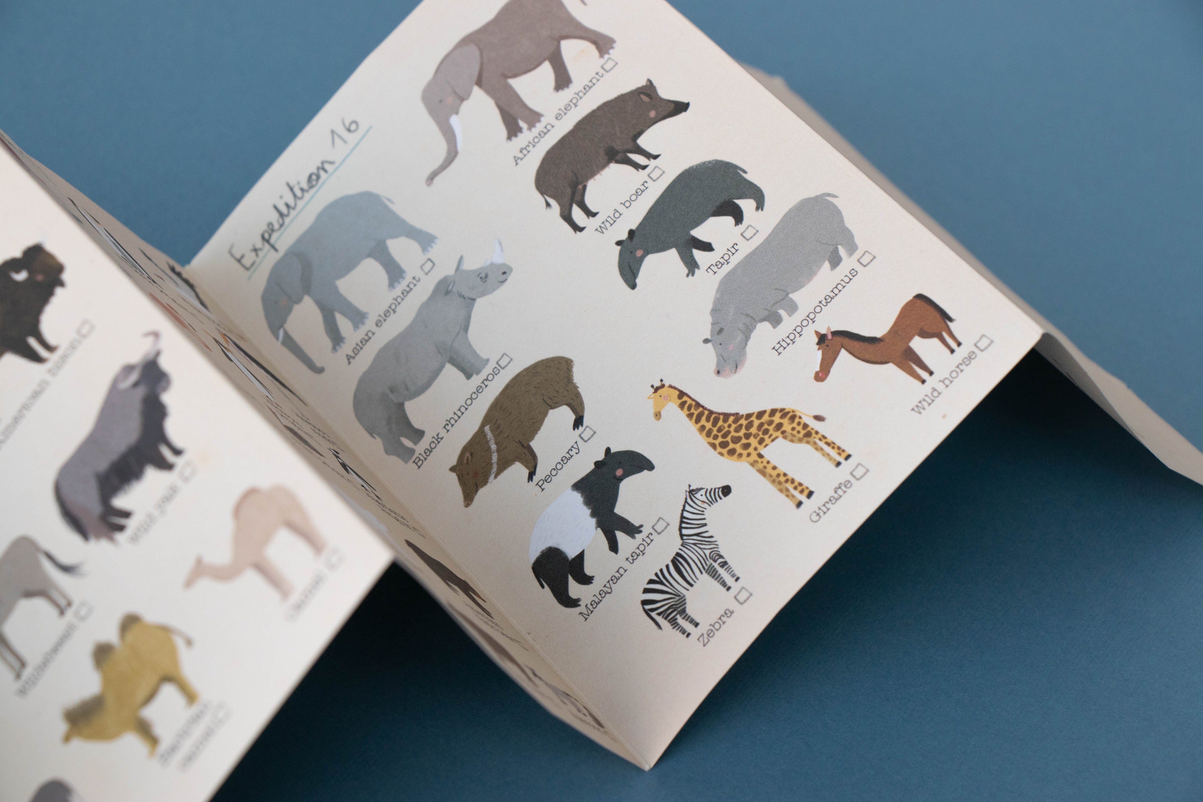 Puzzle - Los animales del Planeta