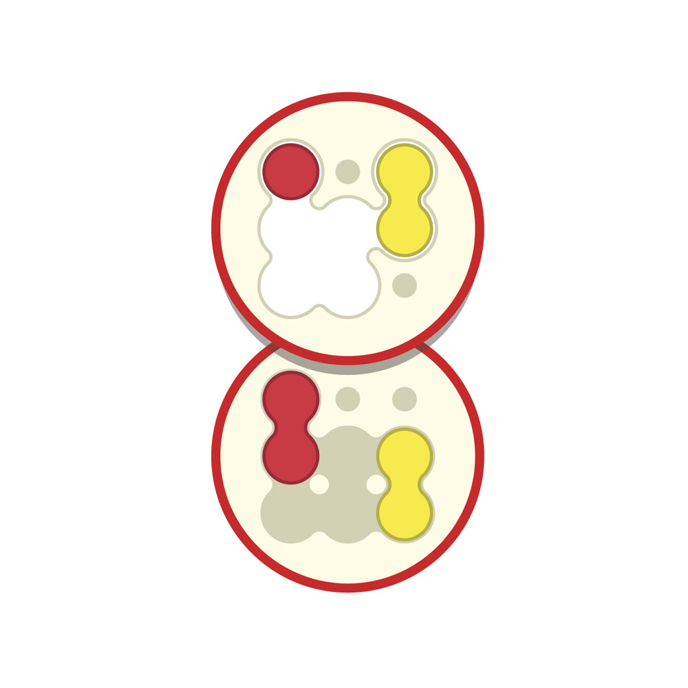 Apple Puzzler