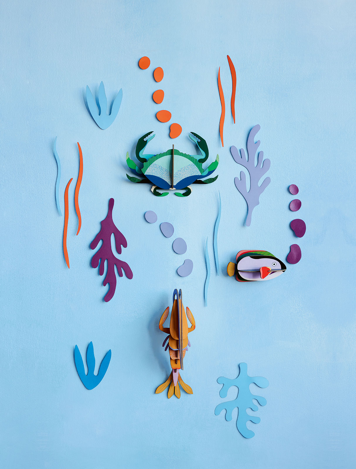 Mundo marino - Océano