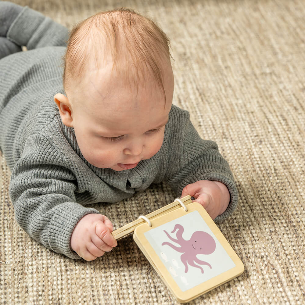 Caja Juega y Aprende - 6 - 12  meses
