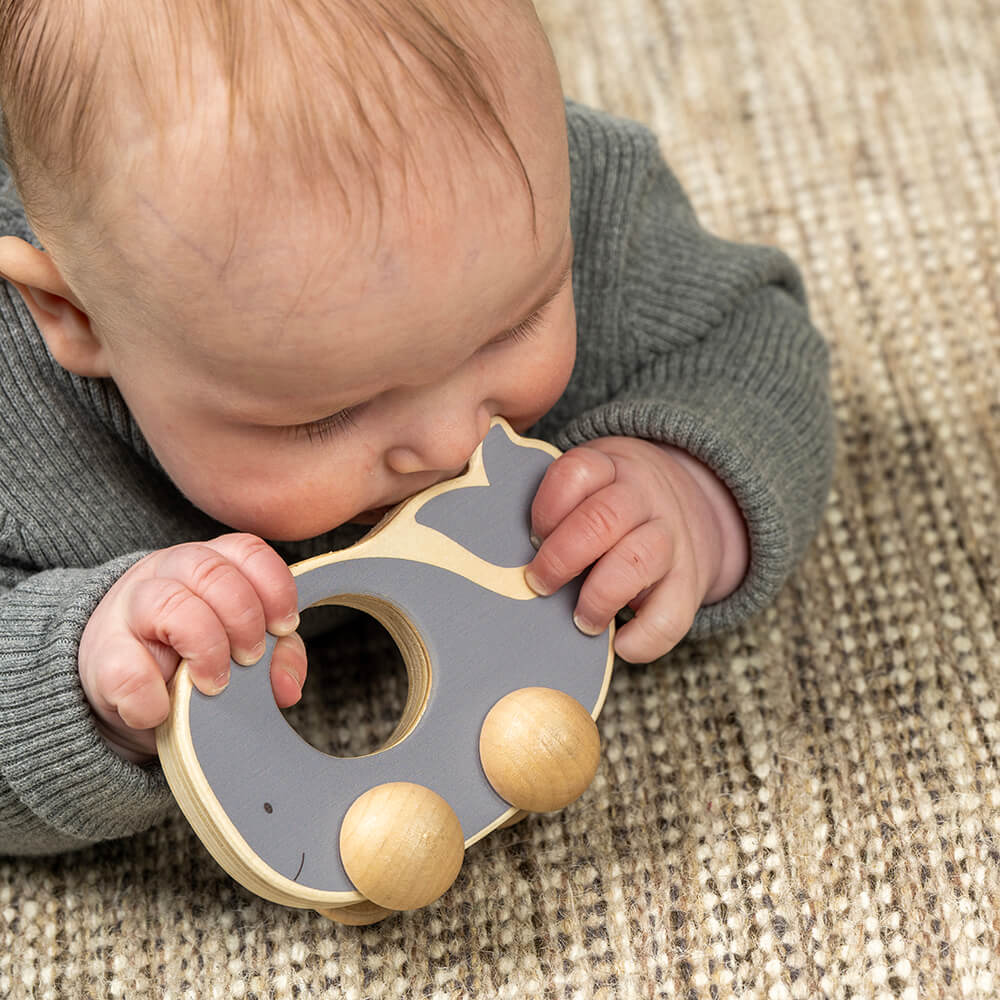 Caja Juega y Aprende - 6 - 12  meses