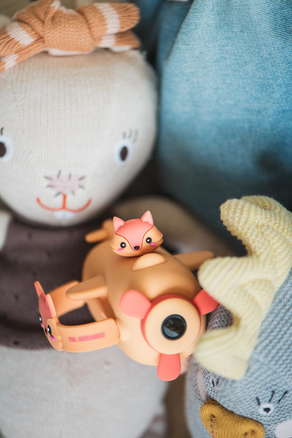 Cámara de vídeo Zoo - Zorro